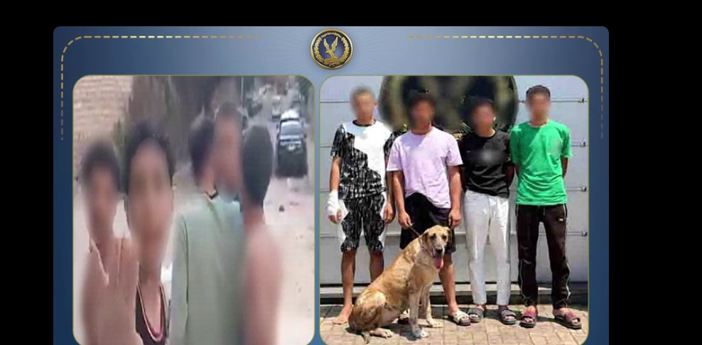 في واقعة الدخيلة الكلب في البيطرية والعواطلية في الحجز
